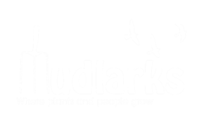 Mudlarks
