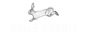 Agile Rabbit